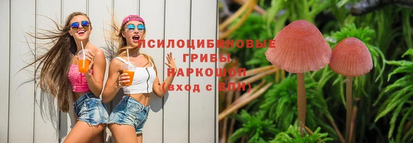 ГАЛЛЮЦИНОГЕННЫЕ ГРИБЫ Абдулино