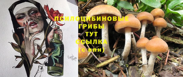 гидропоника Абаза
